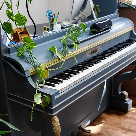 Πανσιόν Domo Anna