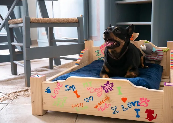 Domo Anna Guest house