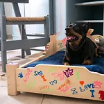 Domo Anna בית הארחה