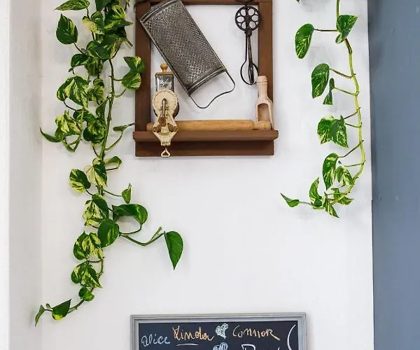 Domo Anna 4* וילסימיוס